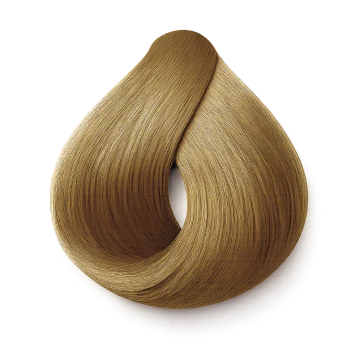 Saç Siyahlaştırıcı Şampuan 300 ML